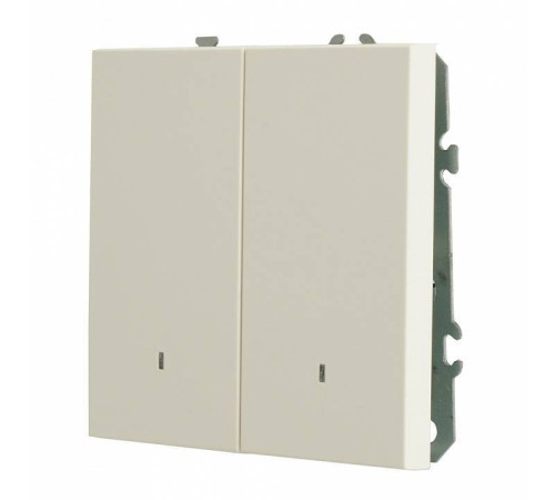 Выключатель двухклавишный с подсветкой без рамки Stekker RSW10-5102-01 49864