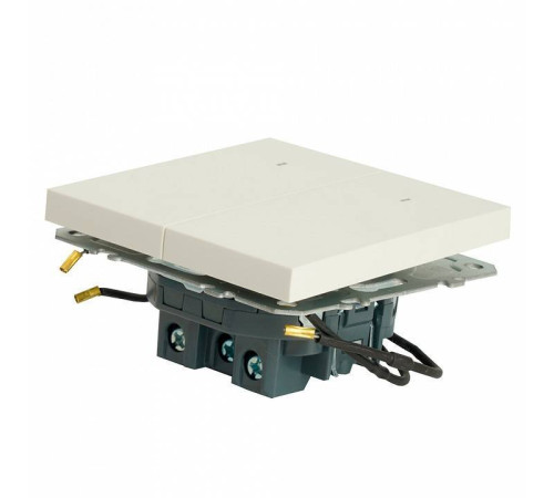 Выключатель двухклавишный с подсветкой без рамки Stekker RSW10-5102-01 49864