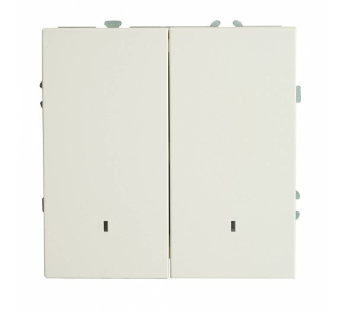 Выключатель двухклавишный с подсветкой без рамки Stekker RSW10-5102-01 49864