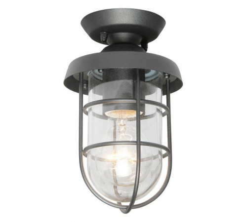 Накладной светильник Favourite Pointer 3021-1P