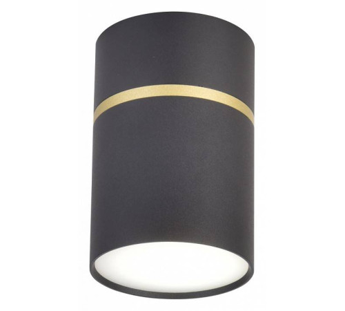 Накладной светильник Favourite Dunia 3068-1C