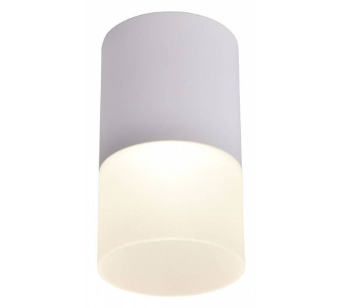 Накладной светильник Favourite Naram 3069-1C