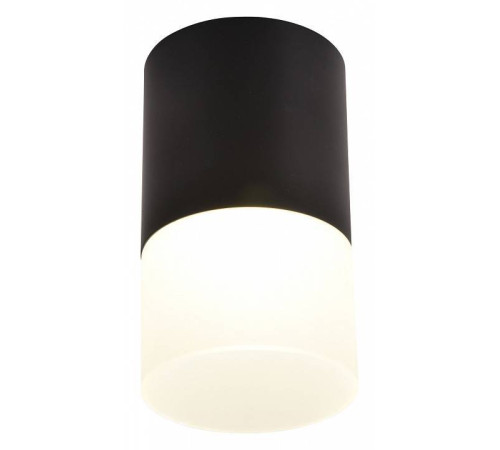 Накладной светильник Favourite Naram 3070-1C