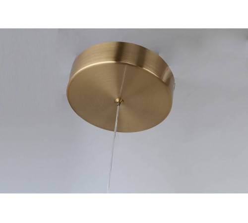 Подвесной светильник F-promo Chantra 4088-5P