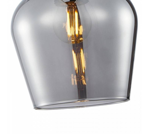 Подвесной светильник F-promo Vinglas 4340-1P