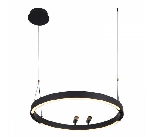 Подвесной светильник F-promo Slinga 4474-1P