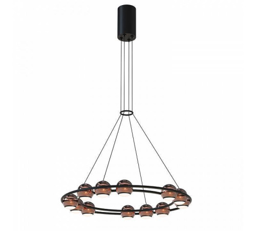 Подвесная люстра Favourite Sturm 4561-12P