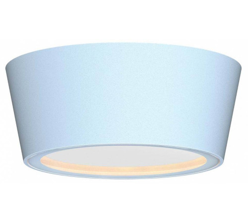 Накладной светильник Favourite Fantum 4676-1U