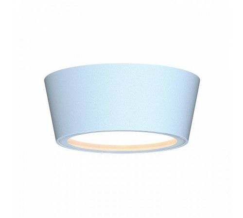 Накладной светильник Favourite Fantum 4676-1U