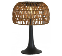 Настольная лампа декоративная Favourite Assolato 4833-1T