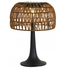 Настольная лампа декоративная Favourite Assolato 4833-1T