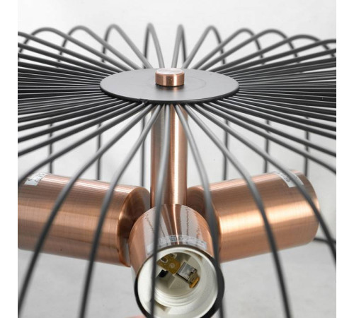 Накладной светильник Lussole Brooks 2 GRLSP-8250