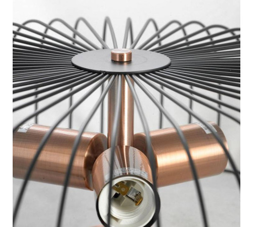 Накладной светильник Lussole Brooks 2 GRLSP-8250