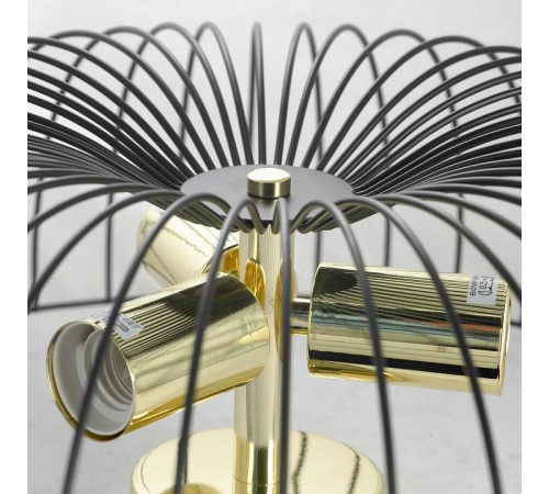 Накладной светильник Lussole Brooks 2 GRLSP-8251