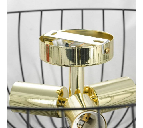 Накладной светильник Lussole Brooks 2 GRLSP-8251