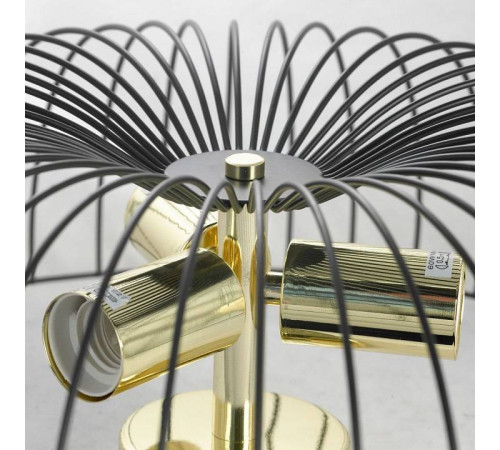 Накладной светильник Lussole Brooks 2 GRLSP-8251