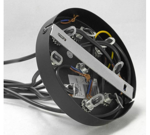 Подвесная люстра Lussole Badger GRLSP-9541