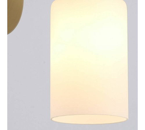 Бра ILLUMICO IL0110-1W-79 COP