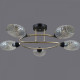 Потолочная люстра ILLUMICO IL0300-5CSQ-79 BK AB