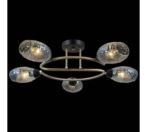 Потолочная люстра ILLUMICO IL0300-5CSQ-79 BK AB