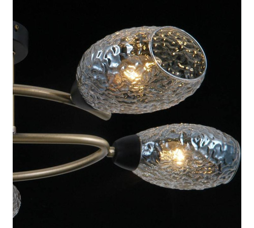 Потолочная люстра ILLUMICO IL0300-5CSQ-79 BK AB