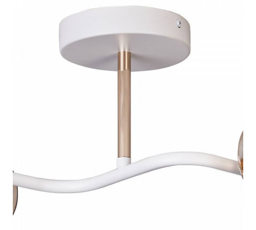 Светильник на штанге ILLUMICO Bice IL8148-2COU-79 WH GD Bice
