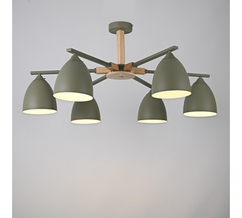 Люстра на штанге Imperiumloft Noa01