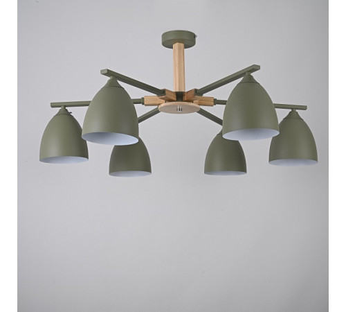 Люстра на штанге Imperiumloft Noa01