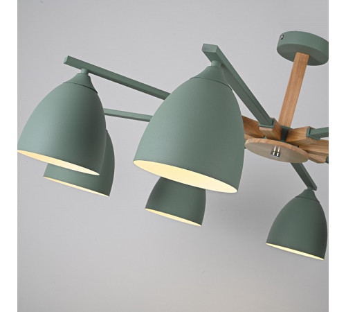 Люстра на штанге Imperiumloft Noa01