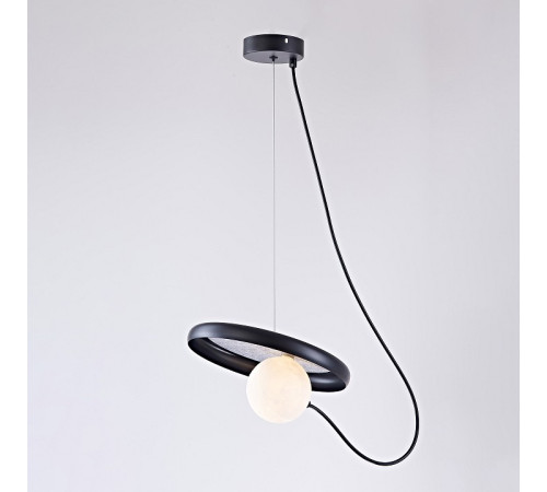 Подвесной светильник Imperiumloft MARGOTT Black margott01