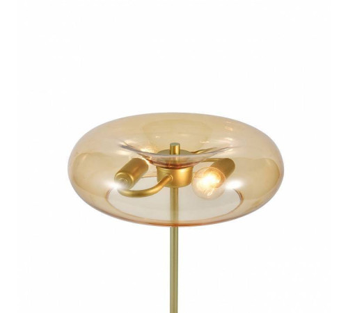 Настольная лампа декоративная Indigo Leggero 11062/2T Amber