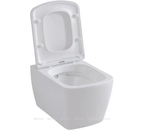 Сиденье для унитаза Allen Brau LIBERTY Soft-Close дюропласт белый 4.33006.20