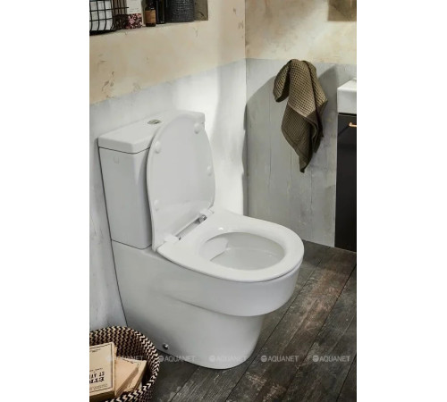 Крышка-сиденье для унитаза Jacob Delafon Odeon Rive Gauche тонкая с микролифтом E24891-00