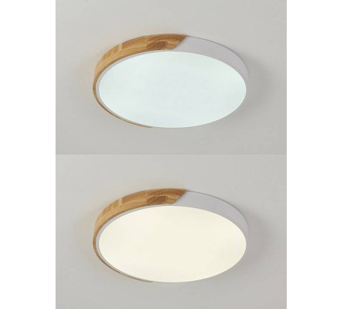 Накладной светильник Natali Kovaltseva Scandinavian LED LAMPS 81182