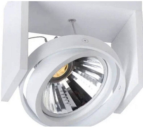 Накладной светильник Lucide Zett 1988/10/31