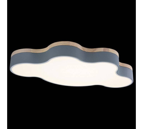 Накладной светильник Loft it Axel 4 10005/36 Grey