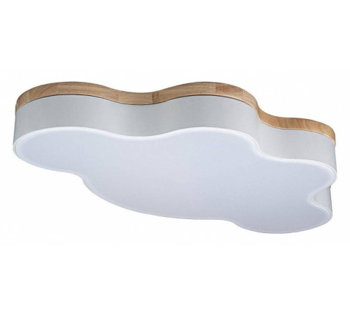 Накладной светильник Loft it Axel 4 10005/36 White