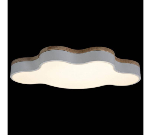 Накладной светильник Loft it Axel 4 10005/36 White