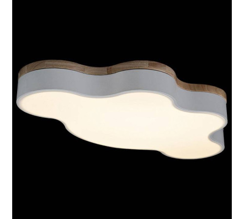 Накладной светильник Loft it Axel 4 10005/36 White