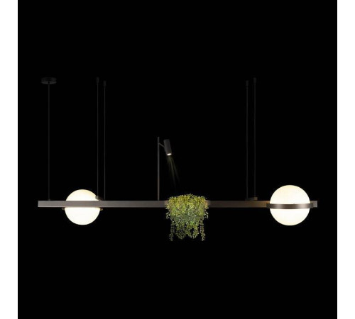 Подвесной светильник Loft it Jardin 10121/D Dark grey