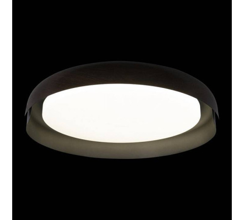 Накладной светильник Loft it Coin 10198 Black