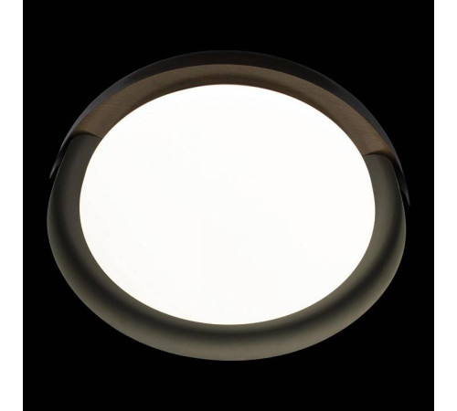 Накладной светильник Loft it Coin 10198 Black