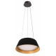 Подвесной светильник Loft it Evans 10224P Black