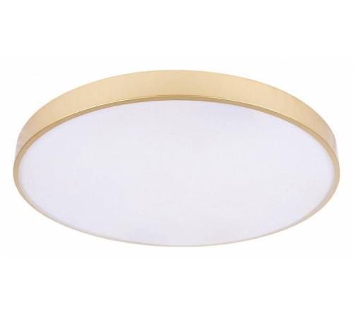 Накладной светильник Loft it Flims 10228/B