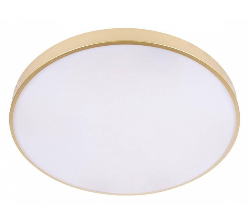 Накладной светильник Loft it Flims 10228/B