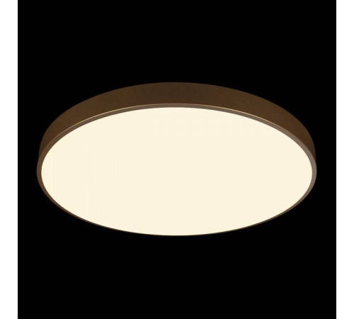 Накладной светильник Loft it Flims 10228/B