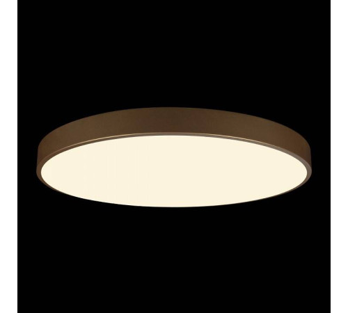 Накладной светильник Loft it Flims 10228/B