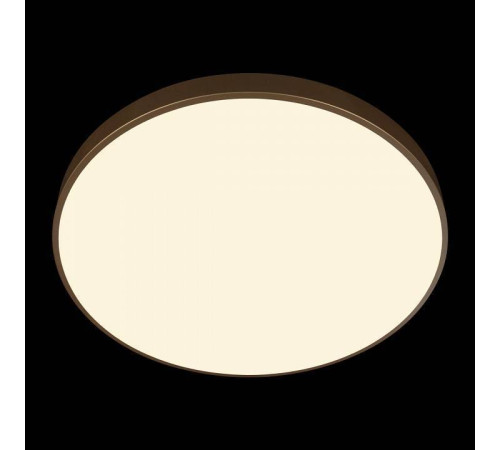 Накладной светильник Loft it Flims 10228/B