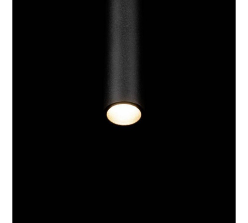 Подвесной светильник Loft it Metropolis 10334/500 Black