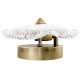Накладной светильник Loft it Bloom 10352W/A AB